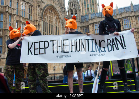 Westminster, Londra, 14 luglio 2015. Centinaia di attivisti per i diritti degli animali e i membri di hunt saboteur i gruppi a raccogliere al di fuori del Parlamento per "lotta per la Fox" come Paliament discute un emendamento alla proposta di legge che proibisce la caccia alla volpe che potrebbe vedere il ritorno dello sport per la campagna Britannica. Credito: Paolo Davey/Alamy Live News Foto Stock