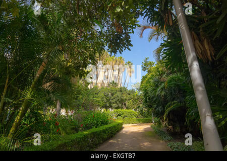 Sentieri per passeggiate attraverso i giardini del Parque de Malaga, Spagna Foto Stock