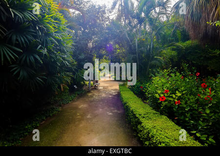 Sentieri per passeggiate attraverso i giardini del Parque de Malaga, Spagna Foto Stock