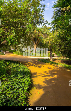 Sentieri per passeggiate attraverso i giardini del Parque de Malaga, Spagna Foto Stock