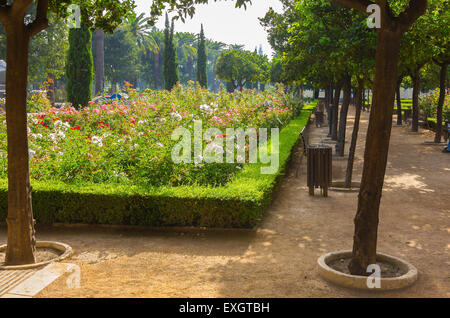 Sentieri per passeggiate attraverso i giardini del Parque de Malaga, Spagna Foto Stock