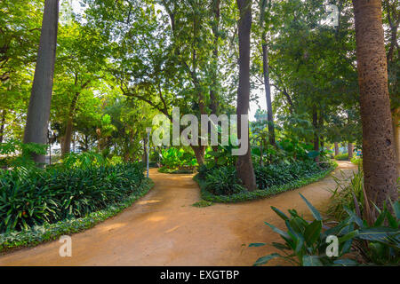 Sentieri per passeggiate attraverso i giardini del Parque de Malaga, Spagna Foto Stock