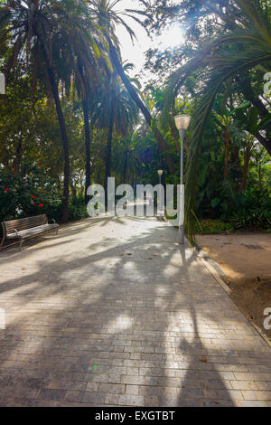 Sentieri per passeggiate attraverso i giardini del Parque de Malaga, Spagna Foto Stock