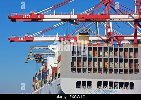 La nave portacontainer, OOCL Shenzhen, carico e scarico presso il Long Beach Container Terminal, Los Angeles, California, USA. Foto Stock