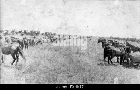 Questa immagine storica cattura l'incontro della Chiesa mennonita della Conferenza generale del 1914. Mette in evidenza l'incontro dei leader e dei membri mennoniti, riflettendo le dinamiche religiose e comunitarie dei Mennoniti dell'inizio del XX secolo. Foto Stock