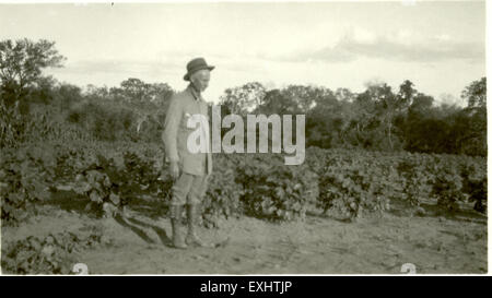Waldheim New Cotton Plantation si riferisce a un progetto di coltivazione del cotone, noto per le sue tecniche e dimensioni moderne. Mette in evidenza gli sviluppi nel settore agricolo e della produzione del cotone, mostrando i progressi nel settore. Foto Stock