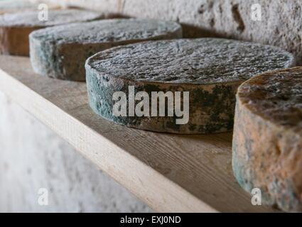 Formaggio di capra stagionatura in cantina. Studio riprese con una luce mistica traducano. Foto Stock