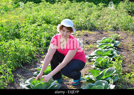 La donna si prende cura di un cavolo in giardino Foto Stock