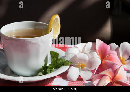 Tazza da tè con succo di limone o di tè alla menta su Red & White tovaglia da picnic con fiori di plumeria dando una pacifica e serena impostazione Foto Stock