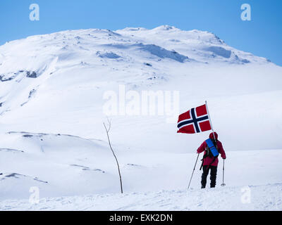 Giornata nazionale il 17 maggio, i Norvegesi a piedi su sci , portando bandiere norvegesi, a piedi da Finse, la più alta stazione ferroviaria su ferrovia Os Foto Stock