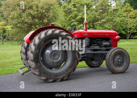 1964 rosso Massey Ferguson 35 X fattoria modello trattore Foto Stock