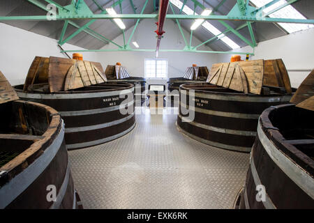 Dallas Dhu distilleria di whisky Foto Stock