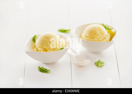 Frutta fresca sorbetto gelato in una vaschetta di colore bianco. Foto Stock