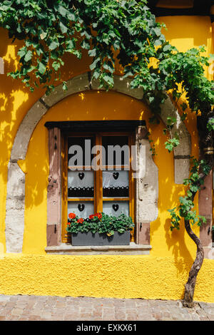 Close-up di finestra, casa gialla, Riquewihr, Alsazia, Francia Foto Stock