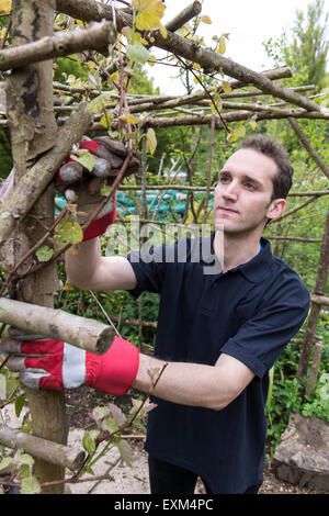 Ufficio lavoratori facendo alcuni volontari lavori di giardinaggio con carriole, Wedding, scavo, in guanti da giardinaggio Foto Stock