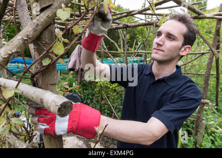 Ufficio lavoratori facendo alcuni volontari lavori di giardinaggio con carriole, Wedding, scavo, in guanti da giardinaggio Foto Stock