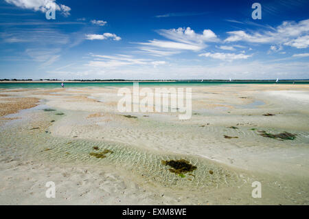 Accanto al mare - testata est, West Wittering Foto Stock