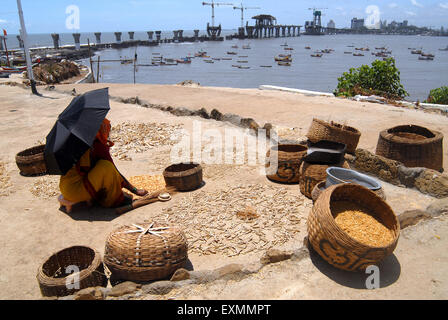 Un fisherwoman asciuga il pesce a Worli village a Bombay ora Mumbai ; Maharashtra ; India Foto Stock