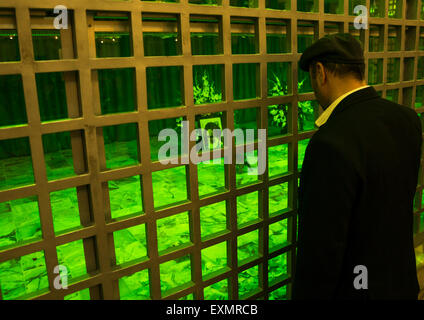 Pellegrini in preghiera davanti alla tomba di Ayatollah Ruhollah Khomeini Musawi sepolto accanto a suo figlio Ahmed Khomeini, Shemiranat County, Behesht-e Zahra, Iran Foto Stock