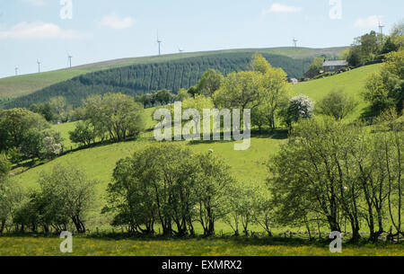 Carno wind farm e campi verdi,remote rurale scena in zona di montagna di campagna nei pressi di Pennant villaggio in Powys,il Galles Centrale. Foto Stock