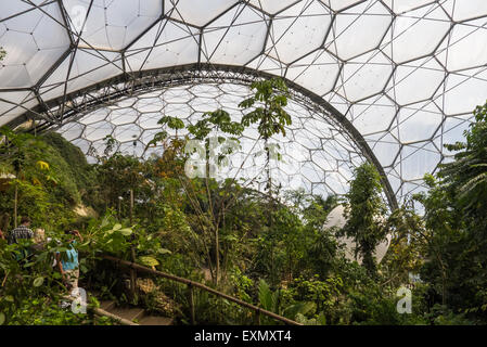 Eden Project, Cornwall, Inghilterra. Vista dall'alto nella foresta pluviale biome. Foto Stock