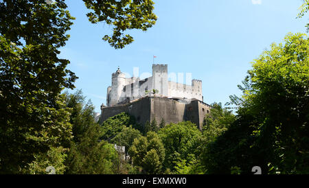 Vista della Festung Hohensalzburg incorniciato da lussureggianti alberi verdi sul giorno di estate in Salzburg, Austria, Europa Foto Stock