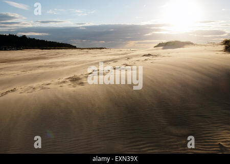 Dune di sabbia sulla spiaggia di Holkham nella baia di Holkham in Norfolk, Inghilterra, Regno Unito Foto Stock