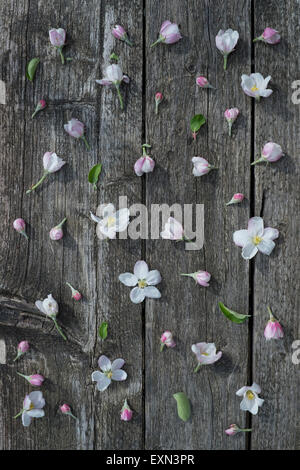 Fiori in legno stagionato Foto Stock