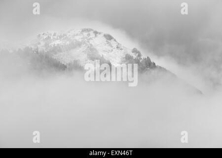 Coperte di neve cima circondata da nubi, Bauges massiccio, vicino a Chambery, Savoie, sulle alpi francesi. Foto Stock