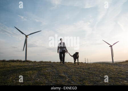 Sundown.turbine eoliche a proprietà Infinis Rheidol Wind Farm,8, 33 metri di diametro delle lame del vento,agriturismo,turbina,alimentazione,Galles,Powys,cane, Foto Stock