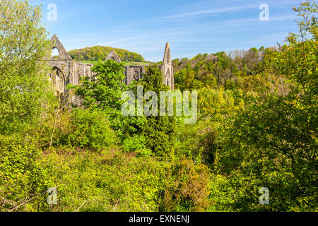 Le rovine di Tintern Abbey medievale monastero cistercense, Monmouthshire, Wales, Regno Unito, Europa. Foto Stock