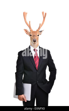 Uomo d affari con testa di cervo isolati su sfondo bianco Foto Stock