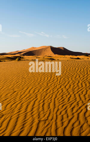 Dune di sabbia nella luce del mattino, Merzouga, regione Meknès-Tafilalet, Marocco Foto Stock