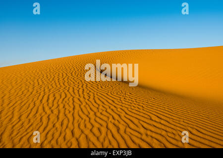 Dune di sabbia nella luce del mattino, Merzouga, regione Meknès-Tafilalet, Marocco Foto Stock