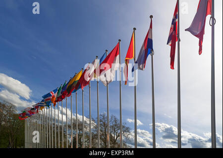 Bandiere internazionali di fronte al palazzo del consiglio d'Europa, Strasburgo, Alsazia, Francia Foto Stock