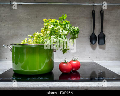 Smalto verde stewpot con prezzemolo e due pomodori nero sul fornello ad induzione Foto Stock