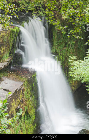 Sgwd Clun-Gwyn (Cascata del prato bianco), Fiume Mellte, vicino Ystradfellte, Parco Nazionale di Brecon Beacons, POWYS, GALLES Foto Stock