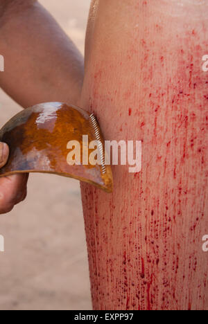 Xingu Parco indigeni, Mato Grosso, Brasile. Aldeia Matipu. Preparazione per la cerimonia Kuarup. Foto Stock