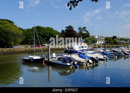 Kingsbridge, Devon, Regno Unito. Il Kingsbridge per Salcombe Traghetto in uscita Kingsbridge. Foto Stock