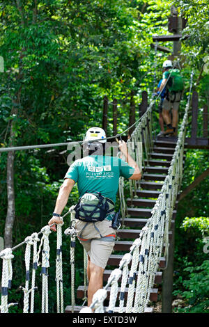 L'uomo attraversa sospeso ponte tettoia, Ecoquest Avventure & Tours, Hacienda Campo Rico, Carolina, Puerto Rico Foto Stock