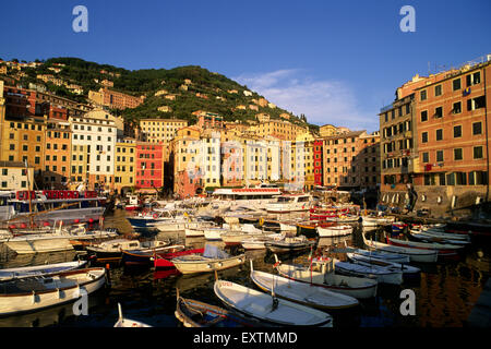 Italia, Liguria, Riviera di Levante, Camogli, porto Foto Stock