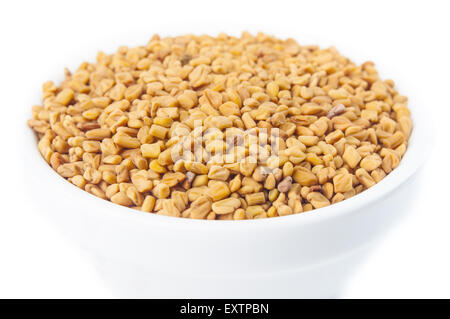 Fenugreek semi nella vaschetta di colore bianco Foto Stock