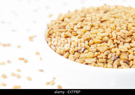 Fenugreek semi nella vaschetta di colore bianco Foto Stock