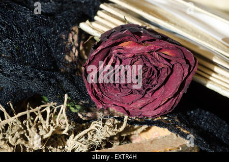 Retrò ancora in vita con rosa appassita Foto Stock