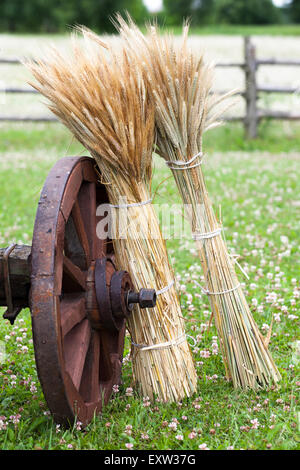 Ruota del carrello di legno e covoni di spighe di grano. Stile rustico. Foto Stock