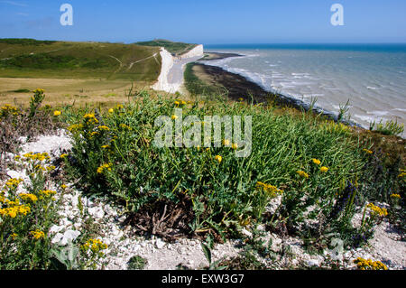 Lungo le scogliere di gesso di sette sorelle da sopra Birling Gap in East Sussex England Foto Stock