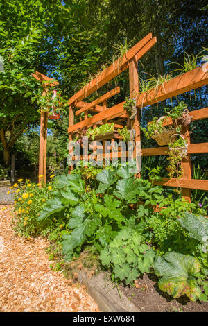 Bella verticale e vegetali flower garden crescente sul e al di sotto di un graticcio in legno a Bellevue, Washington, Stati Uniti d'America Foto Stock