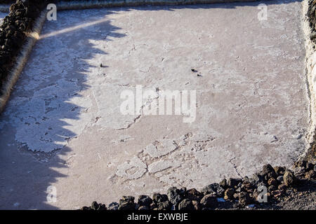 Un primo piano di sale che sono state evaporate lungo le saline di Fuencaliente, La Palma, Spagna. Foto Stock