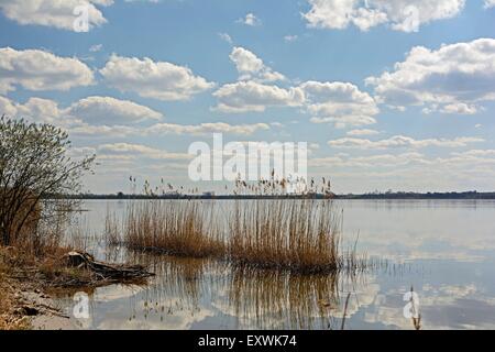 Miedwie, Polonia, Germania, Europa Foto Stock