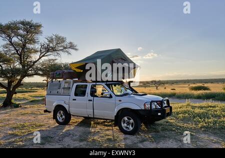 4x4 in Kgalagadi Parco transfrontaliero, il Kalahari, Sud Africa, Botswana Foto Stock